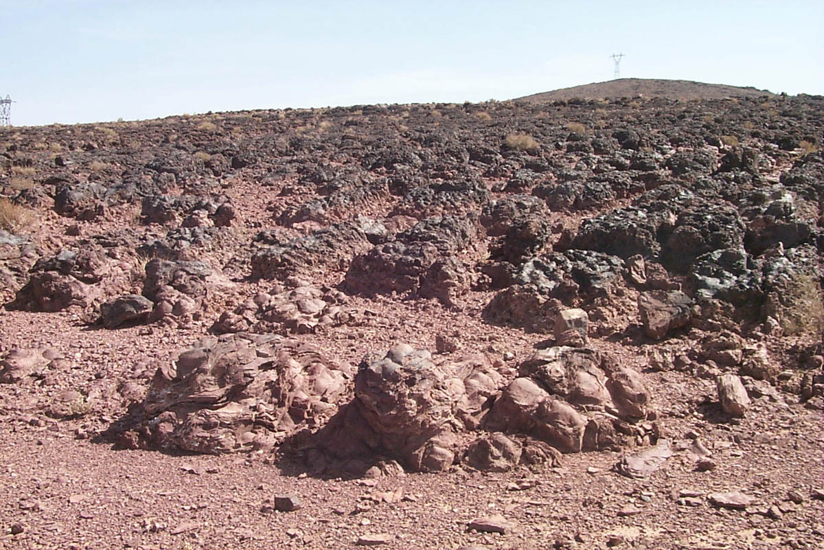Image result for stromatolites morocco