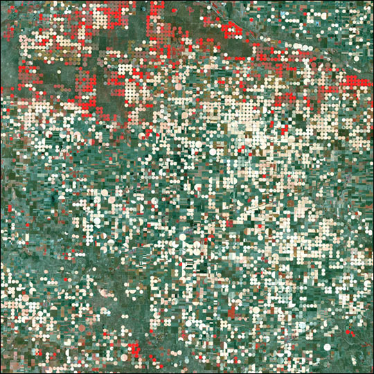 Landsat_art_gardencity